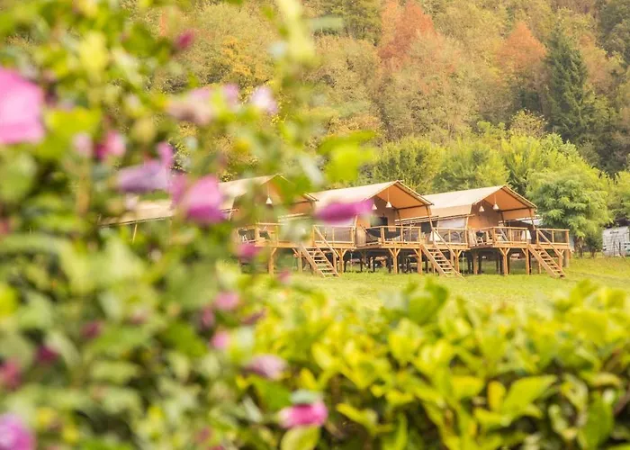 Glamping Holidays - Gajole Arsie